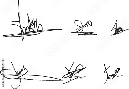 Signatures Collection Variety of Autograph Styles Black and White Design