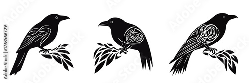 Set of three black stylized ravens with celtic knot designs on wings perched on leafy branches in flat minimalist vector style for Scandinavian mythology and tattoo concept