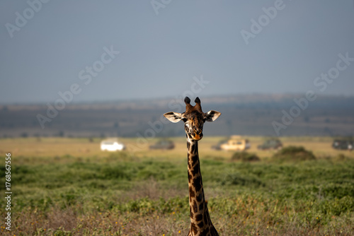 Photography safari in Africa