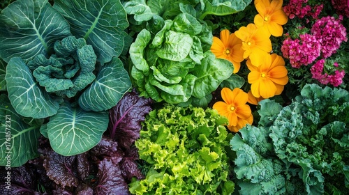 A backyard garden in full bloom with a mix of vibrant flowers and vegetables growing alongside each other.