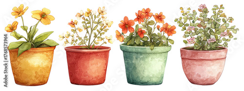 Watercolor-style depiction of four potted flowers with various colors and textures on a black background