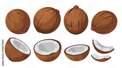 Delicious and Fresh Coconut Collection Ready for Healthy Recipes and Tropical Designs Coconuts Halves and Pieces