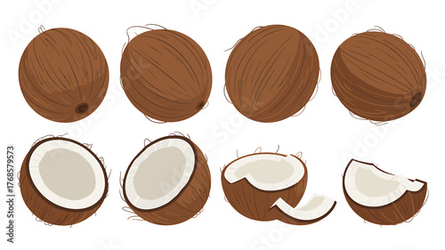 Tropical Coconut Vector Illustration Set for Healthy Food and Summer Vacation Themes with Fresh Cut Coconuts