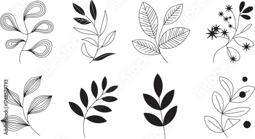 Linear Stylized Botanical Branch Illustrations with Simple Leaf Designs on Transparent
