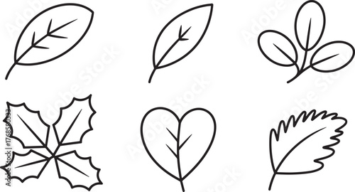 Leaf Drawings Foliage Contours Isolated on Transparent Background Style Elegant Illustration