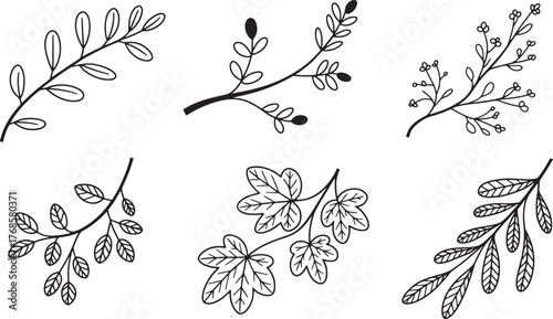 Foliage Drawings with Leaves Contours Isolated on Checkered Background Illustration Style