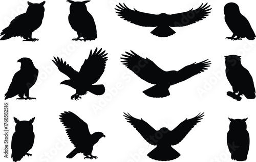 Bird silhouette, owl pose, eagle flight, raptor wingspan, avian vector, black graphic, perched profile, wildlife icon, nature design, predator shapeBird silhouette, owl pose, eagle flight,