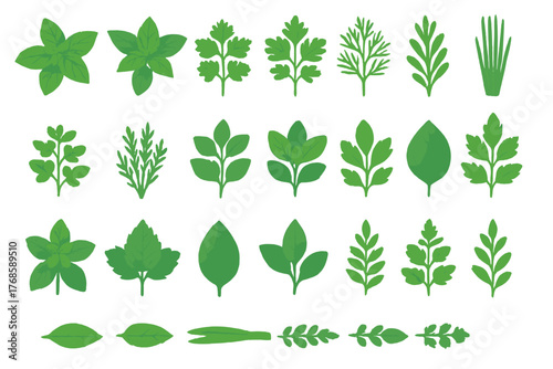 Seamless pattern of culinary herbs and leafy greens