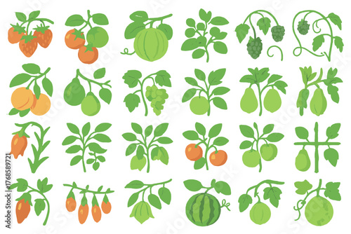 Fruit plant and garden crop icon set with botanical illustrations