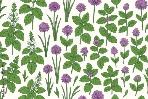 Seamless herbal pattern with mint leaves, white basil flowers, and purple clover on cream background