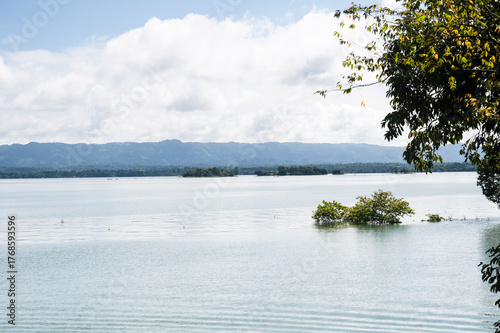Beautiful tree on the lake with mountain