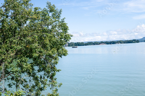 Beautiful lake in the forest