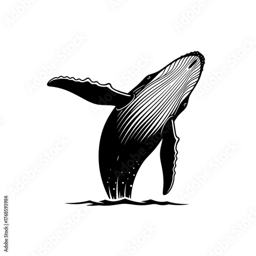 Spectacular Humpback Whale Breaching Illustration with Water Splash Ocean Power Graphic