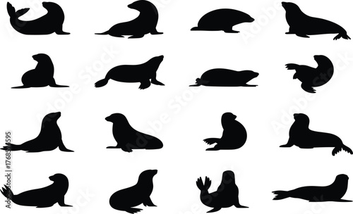 Seal silhouette, sea lion pose, marine animal, ocean wildlife, aquatic vector, black graphic, nature icon, flipper motion, coastal species,