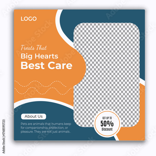 Adorable kitten with big eyes promotes best care and health services for pets