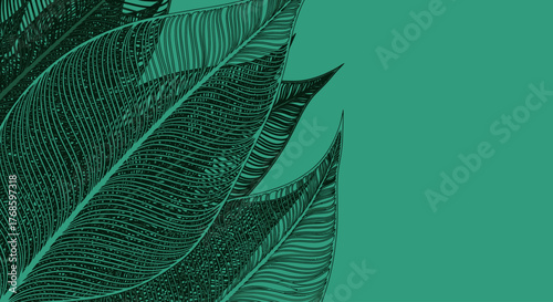 Stylized green bird feathers creating a delicate and modern abstract pattern background with copy space