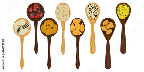 
 Colorful vector illustration of beans and legumes in cartoon style in colorful wooden spoons.