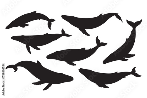 whale silhouette variations vector pack for marine life illustration logos stamps and conservation projects
