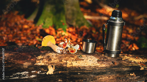 Stainless Steel Thermos and Foraged Mushroom on a Fallen Log in the Autumn Forest