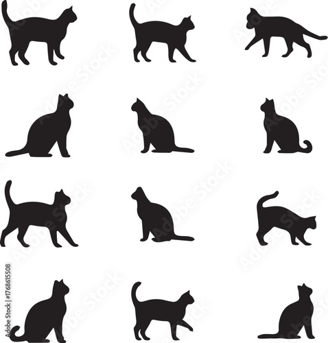 set of cats silhouettes vactor