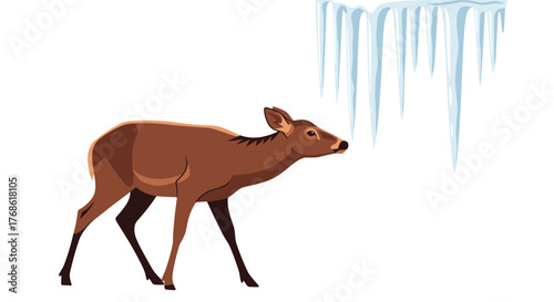 Curious deer approaching frozen icicles in winter forest  