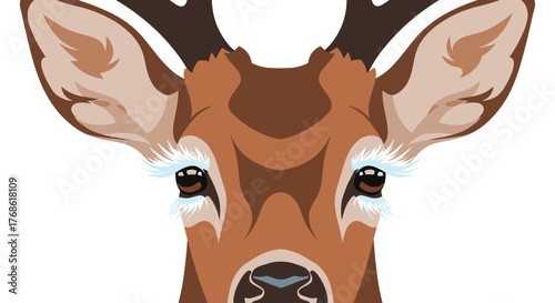 Deer face illustration with frosty eyelashes on white background  