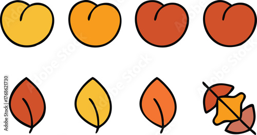 Autumn Icons: Peaches and Leaves in Warm Colors