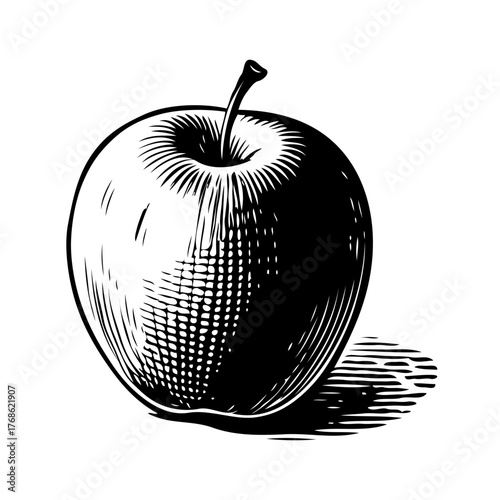 Detailed apple illustration in hand-drawn engraving style, isolated on white background with shadow, representing natural fruit concept