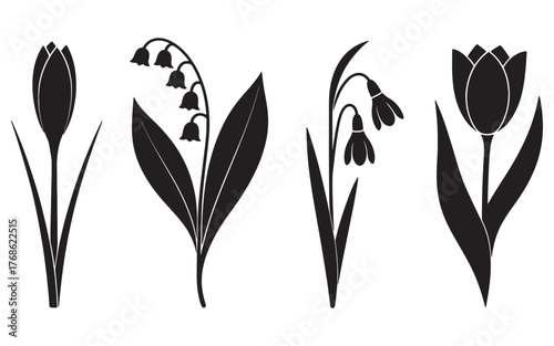 Elegant Floral Silhouette Collection Featuring Spring Flowers Vector Illustration