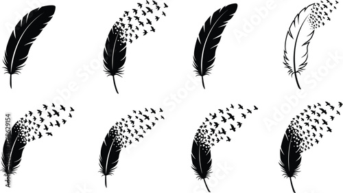 Feather and bird silhouette vector set, black artistic illustrations, flying transformation concept, freedom and nature theme, editable graphic design elements