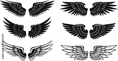 Wing silhouette set, feather styles, angel and fantasy icons, black vector illustration, symmetrical design elements, flight symbol, graphic collection