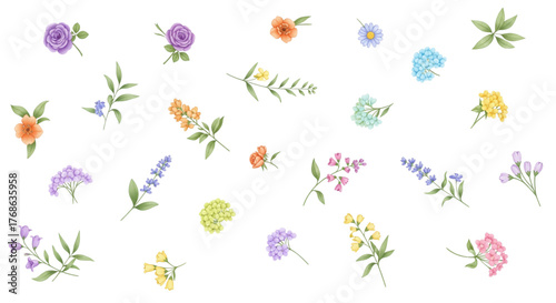 Watercolor Wildflower Botanical Elements Set for Spring Wedding Invitations Design Projects