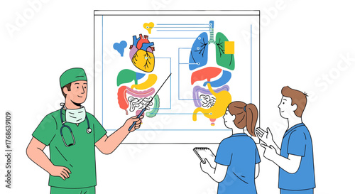 Medical Professionals Analyze Human Anatomy Diagram For Understanding And Discussion