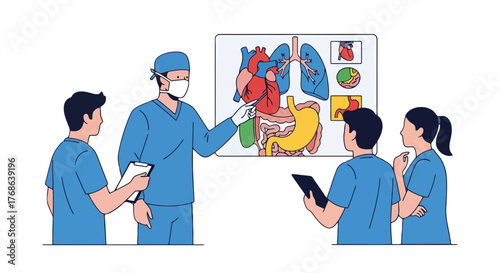 Medical Professionals Collaborating During Anatomical Lesson About Human Organ Systems