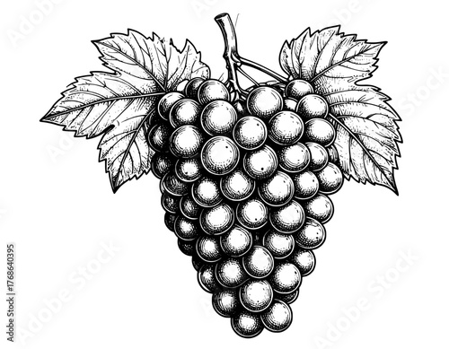 bunch of grapes with leaves