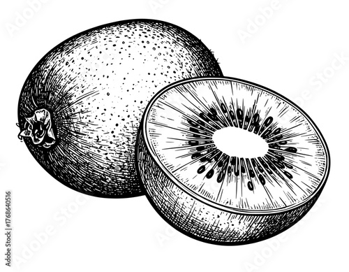 kiwi fruit on a white background