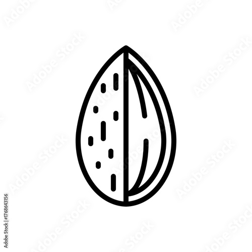 Cross-Section Almond Line Icon Vector Illustration