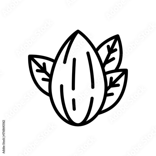 Almond with Leaves Icon Outline Vector Illustration