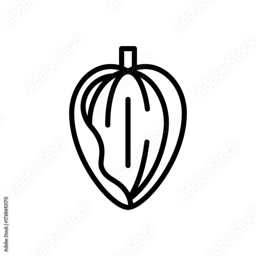 Almond Fruit Line Icon Vector Illustration