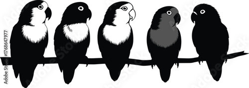 Parrot silhouette on branch, tropical bird design, black vector, perched pose, exotic animal, feather pattern, nature icon, wildlife graphic