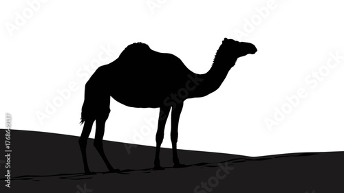 Silhouette of a camel in the desert simple black and white vector illustration suitable for travel and tourism designs