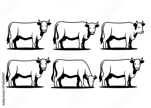 Six cows are illustrated standing and grazing in a grid.