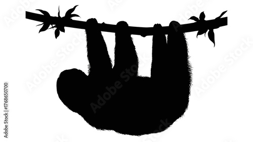 Silhouette of a sloth hanging from a branch a vector illustration isolated on white background
