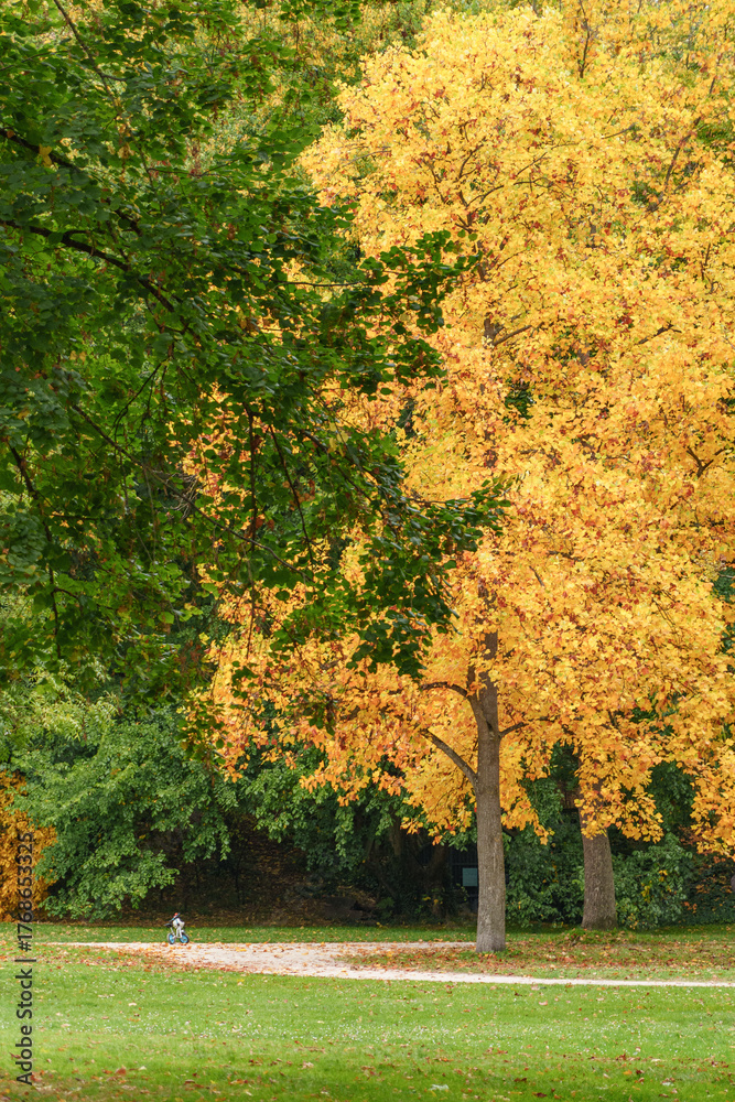 Naklejka premium Herbstzeit in Wiesbaden