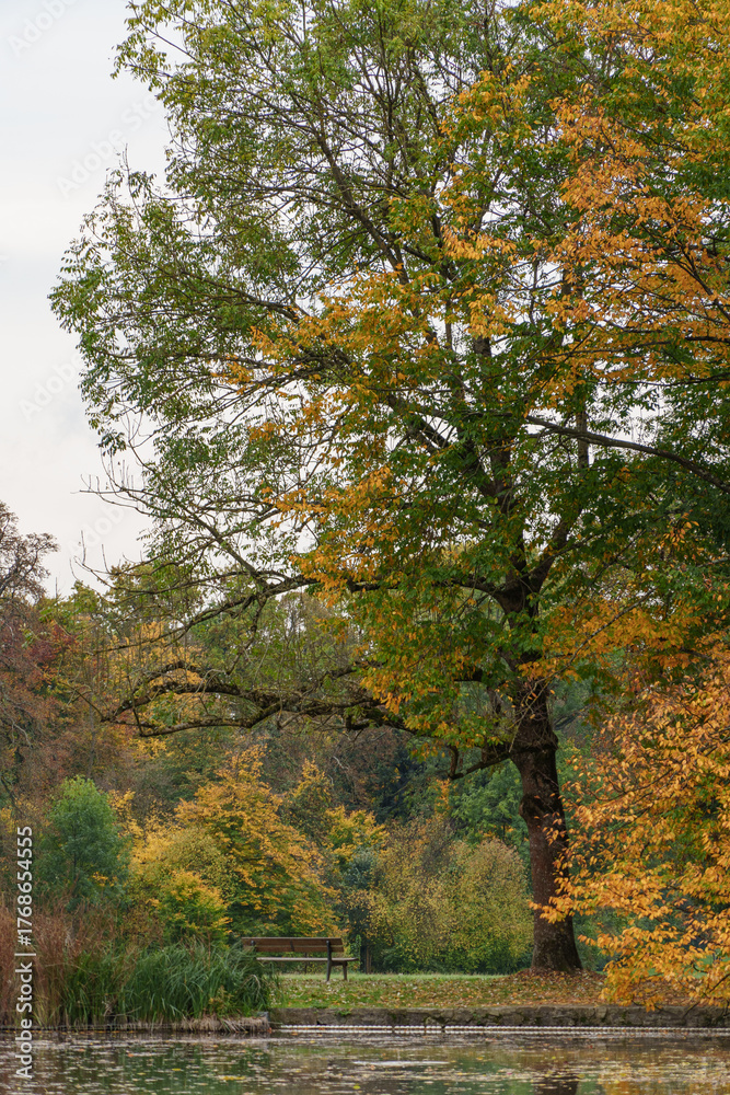 Fototapeta premium die hessische Landeshauptstadt Wiesbaden im Herbst