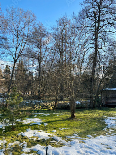 Scenic winter landscape showcases bare trees and snow-covered ground, with vibrant green grass peeking through, under a bright blue sky filled with soft clouds