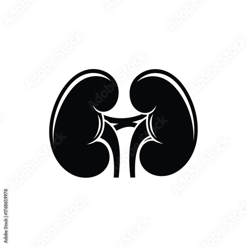 Human kidneys anatomy silhouette medical science symbol healthcare organ icon silhouette