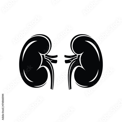 Pair of human kidneys anatomical shape icon medical healthcare symbol silhouette