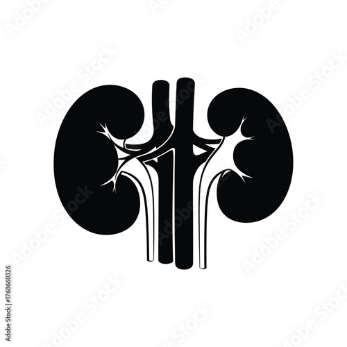 Human kidneys anatomy medical symbol clean icon representing renal system health silhouette