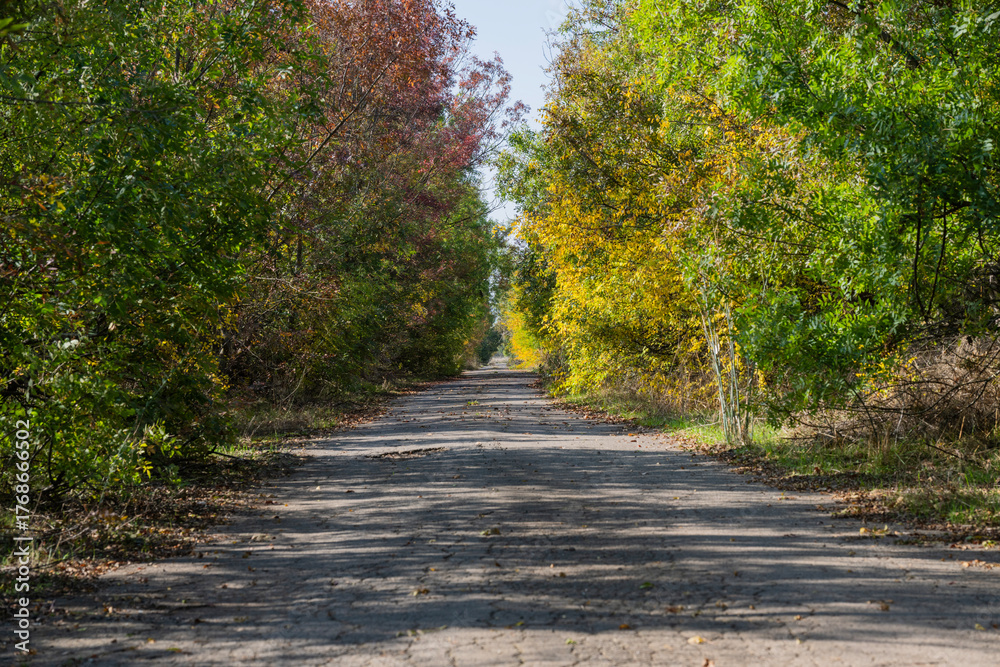Obraz premium A cracked rural road winds through autumn trees under a partly cloudy sky, evoking quiet solitude and seasonal change.